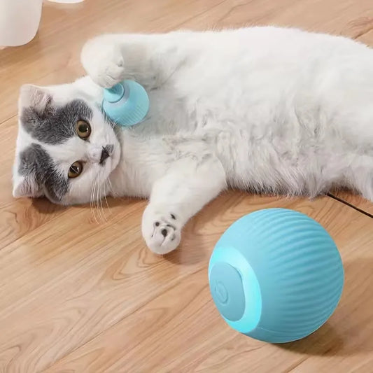 Automatic Cat Ball