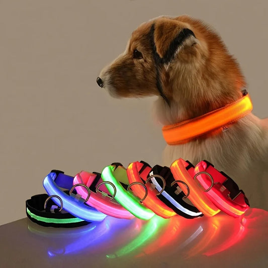 Reflective LED Dog Collar